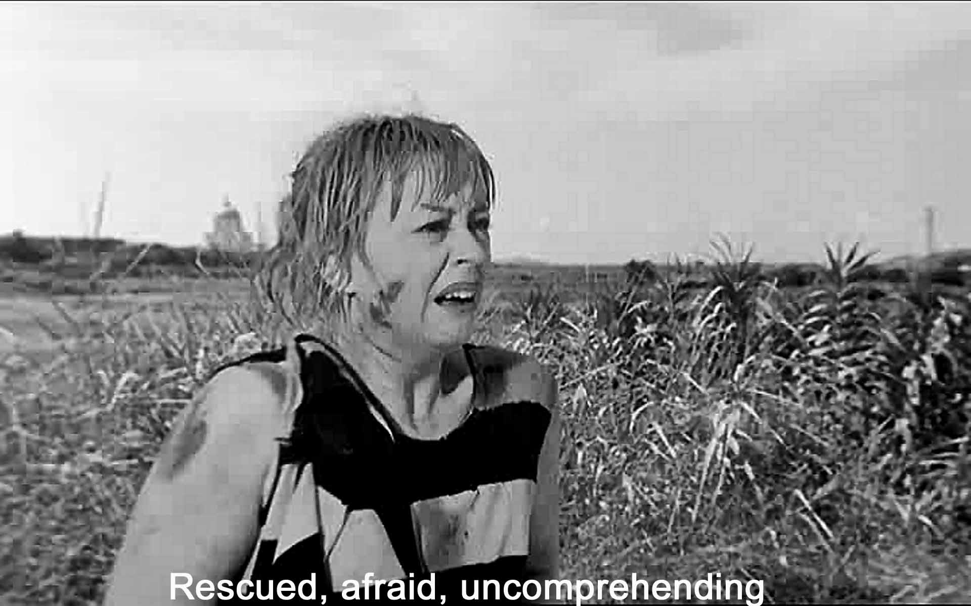 Rescued, afraid, uncomprehending